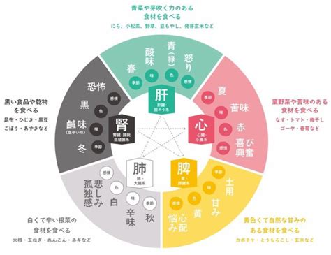 木剋土 意味|木剋土とは？ わかりやすく解説